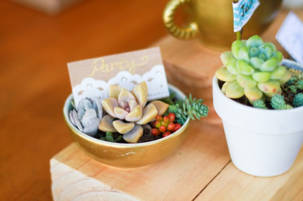 Thrift store dishes upcycled into cute succulent planters!