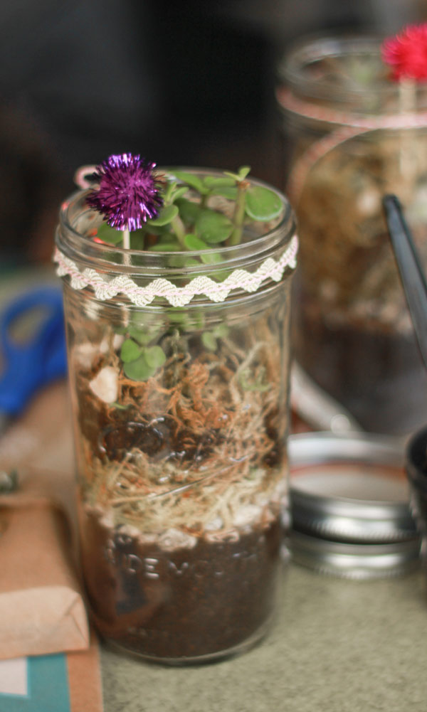 Holiday mason jar terrarium with succulents