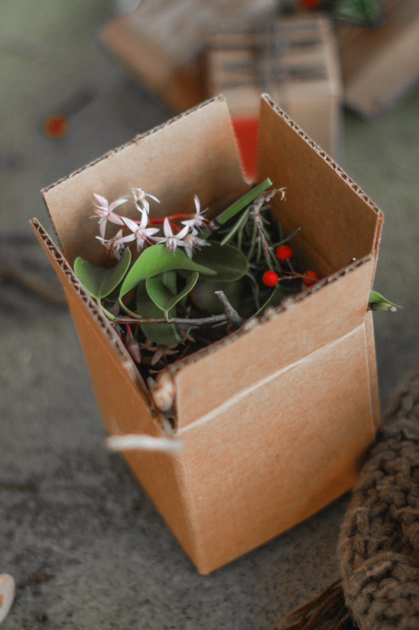 Organic gift wrapping using leaves and natural embellishments